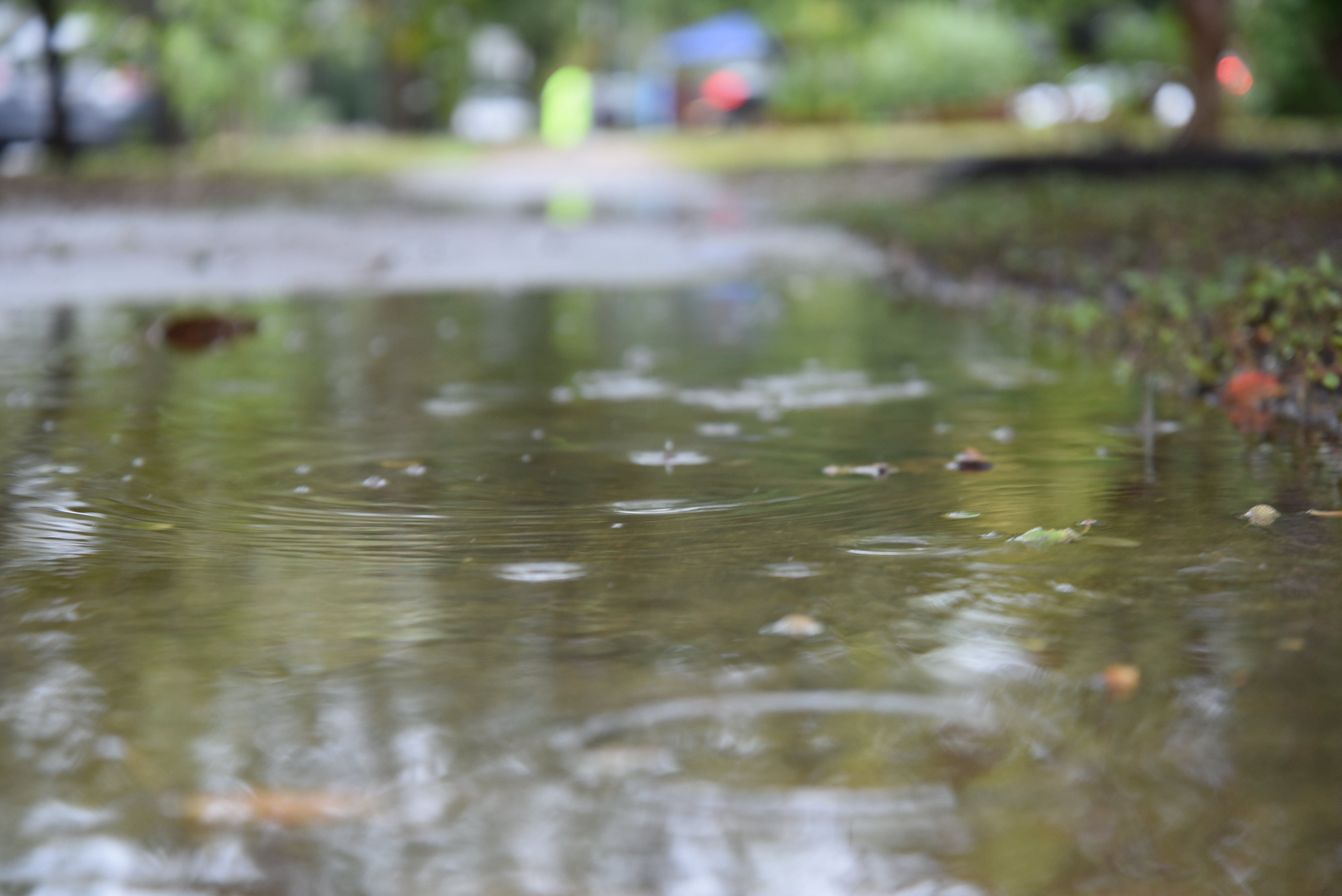 pooling water in property yard