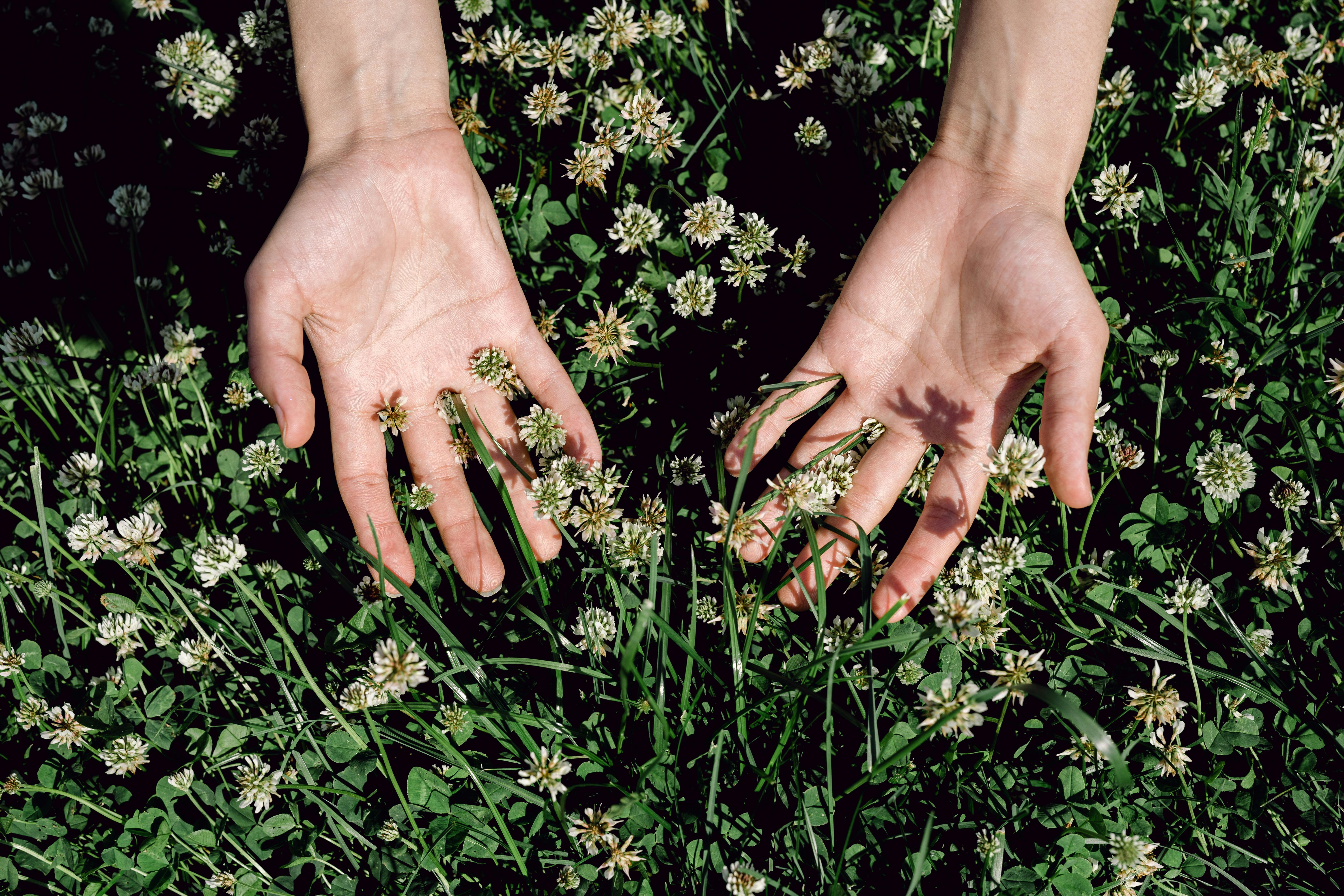 hands in clover