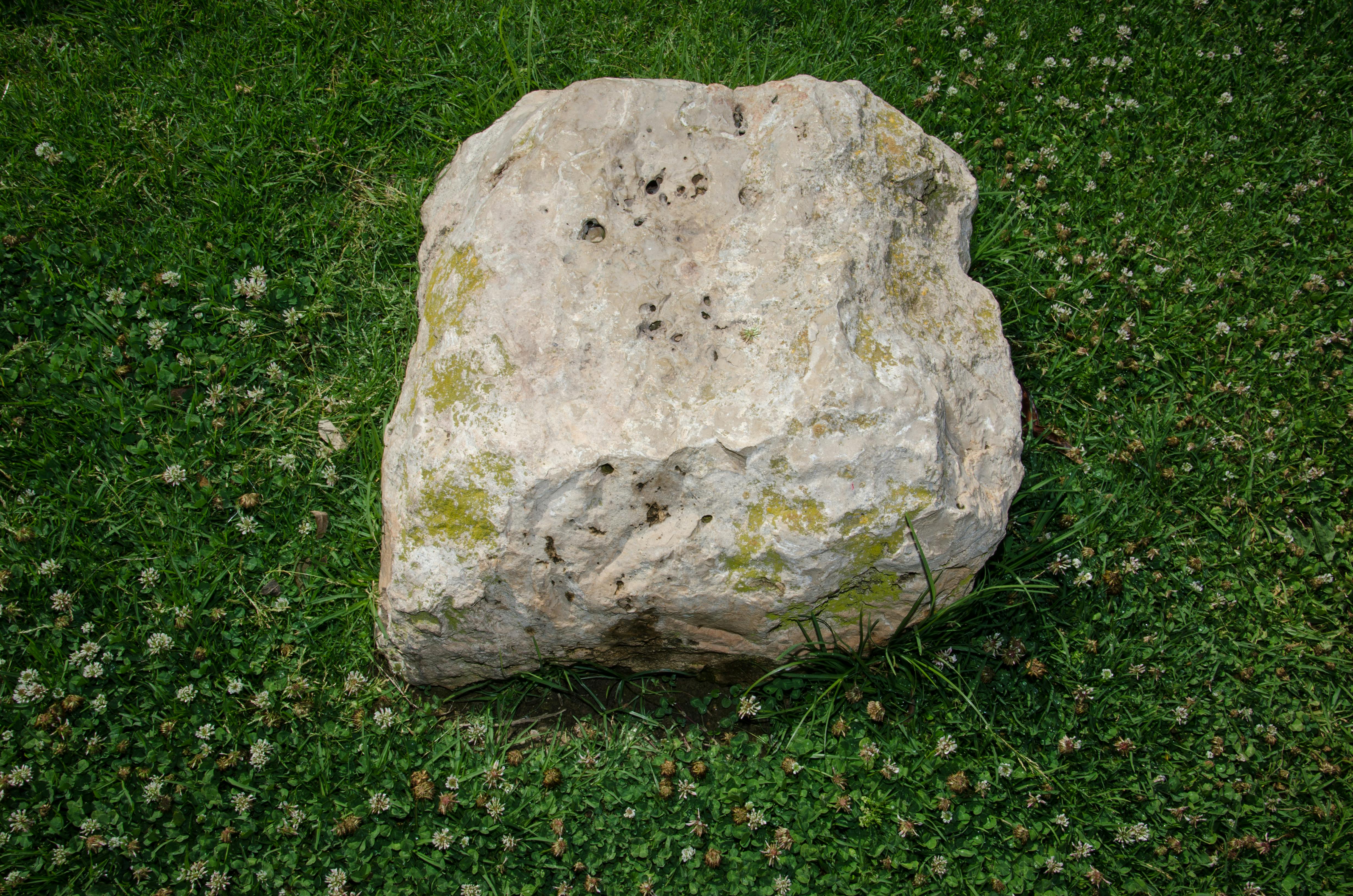 rock in clover